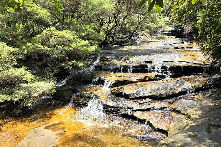 Leura Cascades Walk And Picnic Area Sydney Uncovered leura-cascades-walk-and-picnic-area-sydney-uncovered