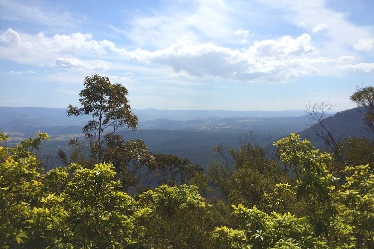 Six Foot Track in the Blue Mountains