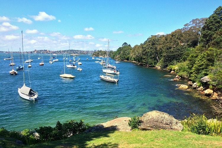 Cremorne Point Walk in Sydney Harbour | Sydney Uncovered