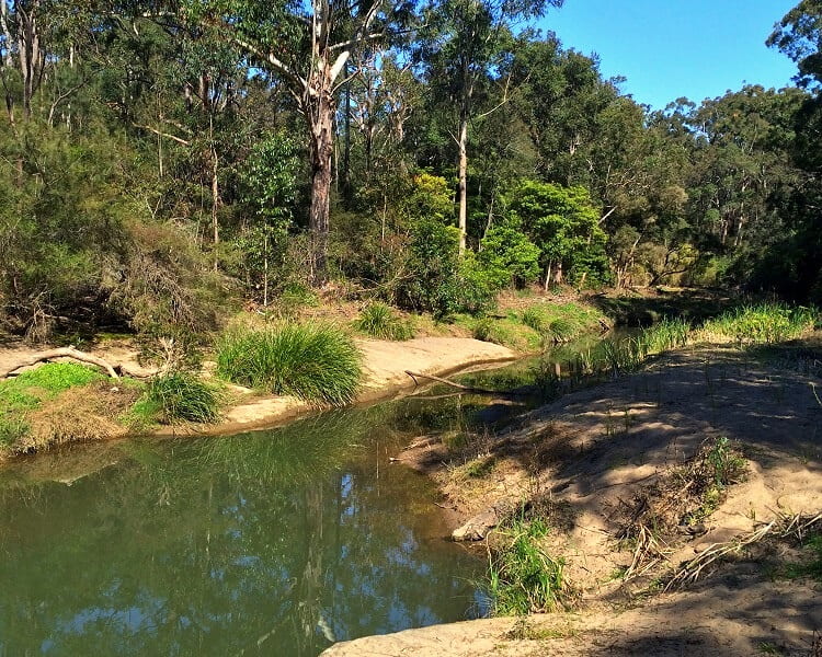 Northern point of Lake Parramatta Reserve