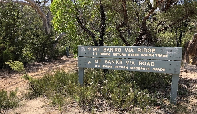 Starting point of the Mt Banks summit walk