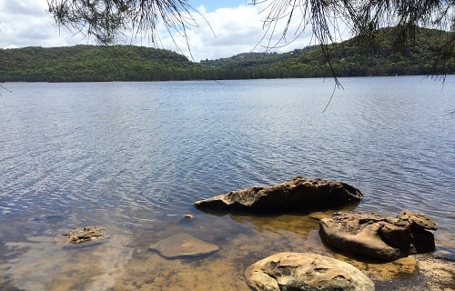 Narrabeen Lakes