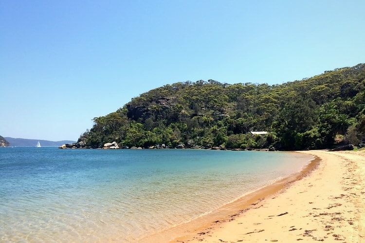 Station Beach in Palm Beach facing Pittwater