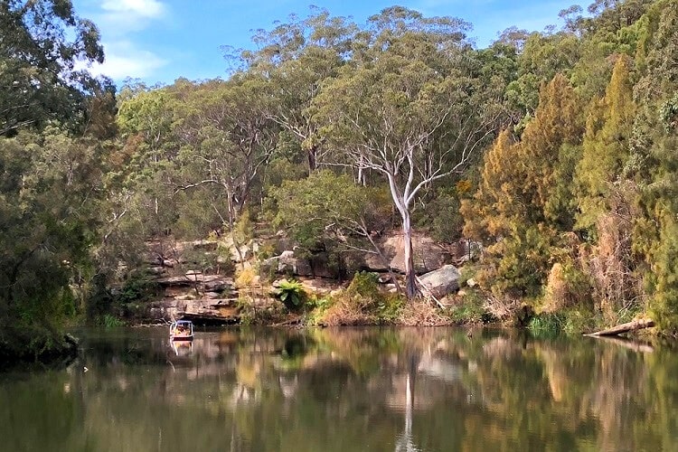 Lane Cove riverside circuit walk