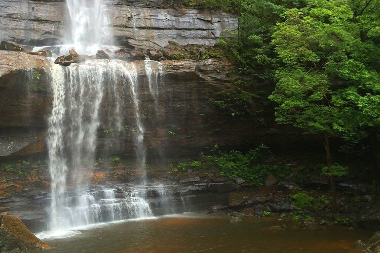 National Pass in Wentworth Falls