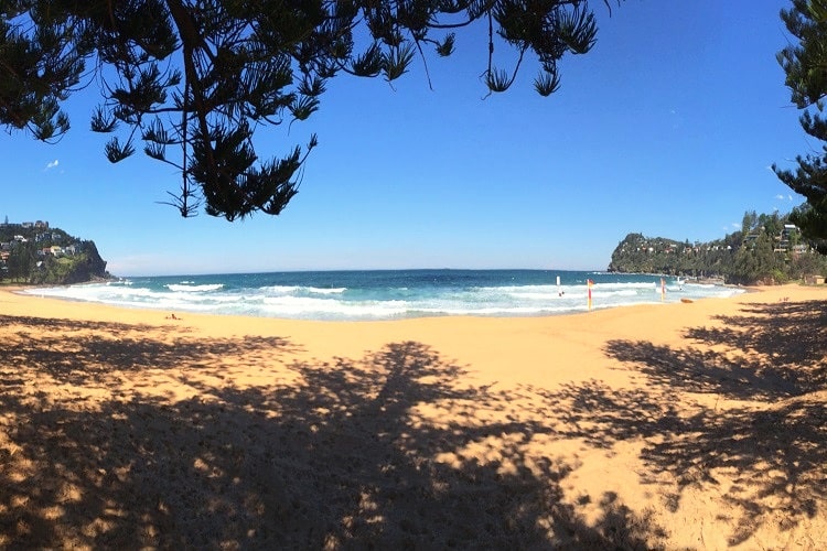 Whale Beach in Sydney's Northern Beaches
