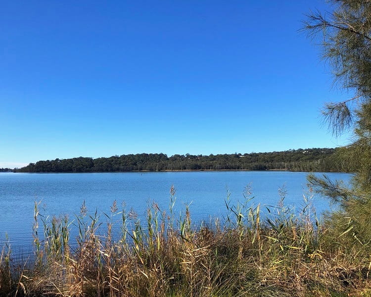 Narrabeen Lakes