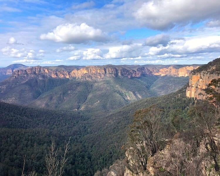 George Phillips Lookout