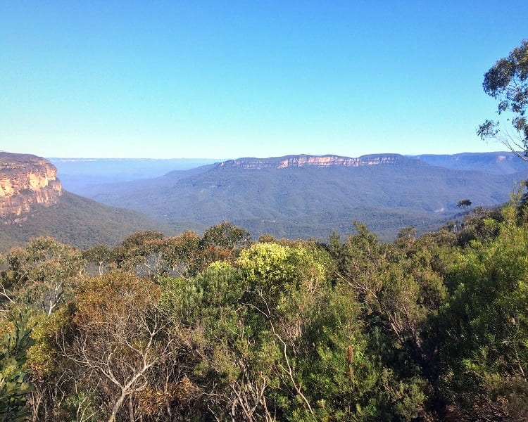 Jamison Lookout in Wentworth Falls
