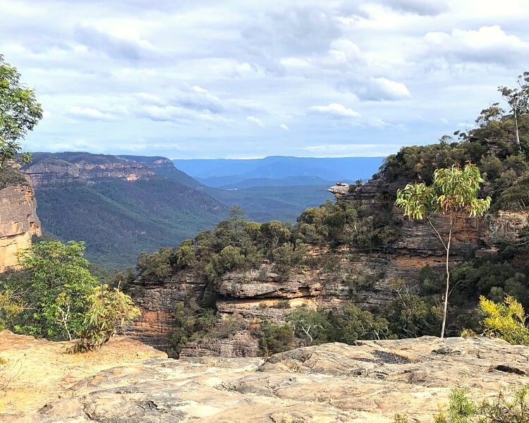 Norths Lookout
