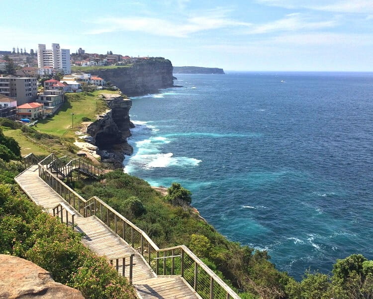 Boardwalk as part of the Federation Cliff Walk