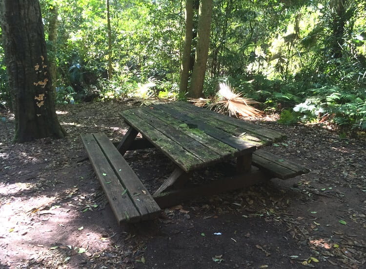 Neglected picnic table along the Forest Path