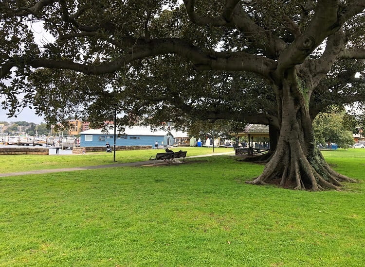 Steyne Park in Double Bay