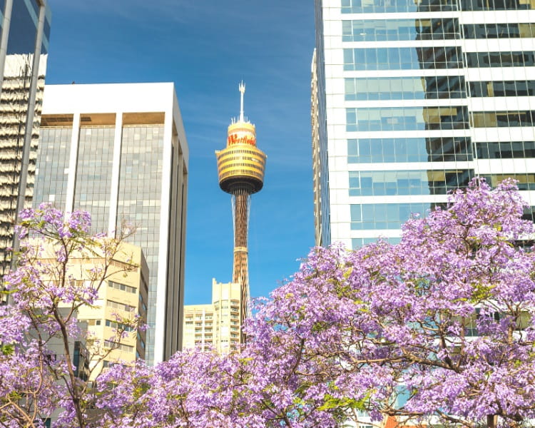 Sydney Tower Eye