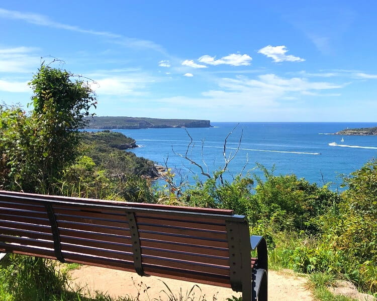 Bench with views in Georges Heights