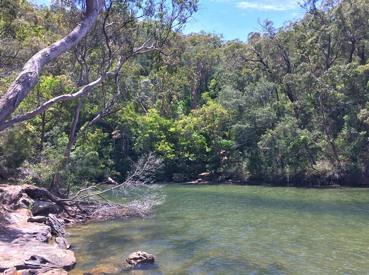 Swimming in Jerusalem Bay