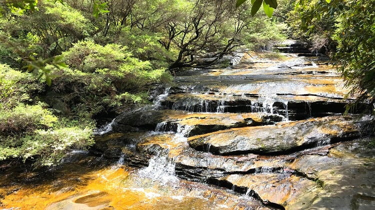 Leura Cascades Walk and Picnic Area