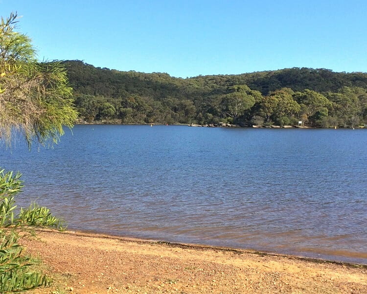Swimming in Manly Dam Reserve