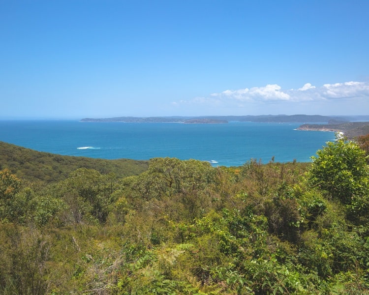 Mount Bouddi Walk