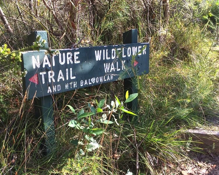 Nature Trail and Wildflower Walk signpost