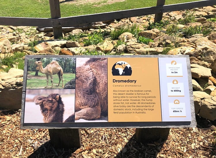Information board in Sydney Zoo