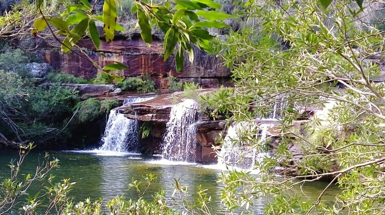 Winifred Falls in Royal National Park