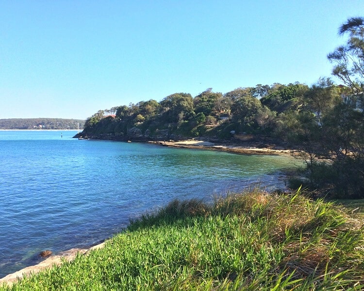 Salmon Haul Reserve in Cronulla