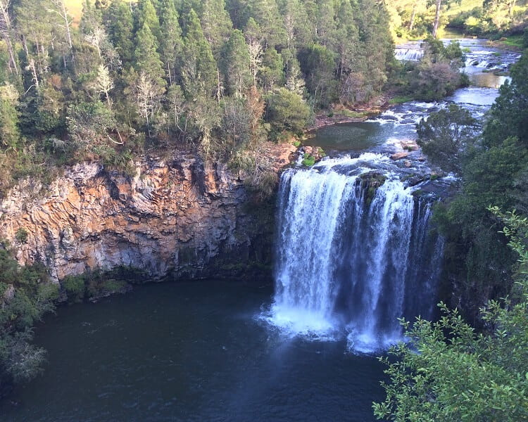 Dangar Falls in Dorrigo
