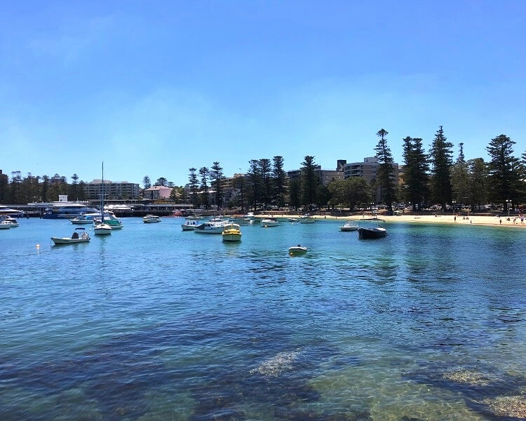 East Manly Cove Beach