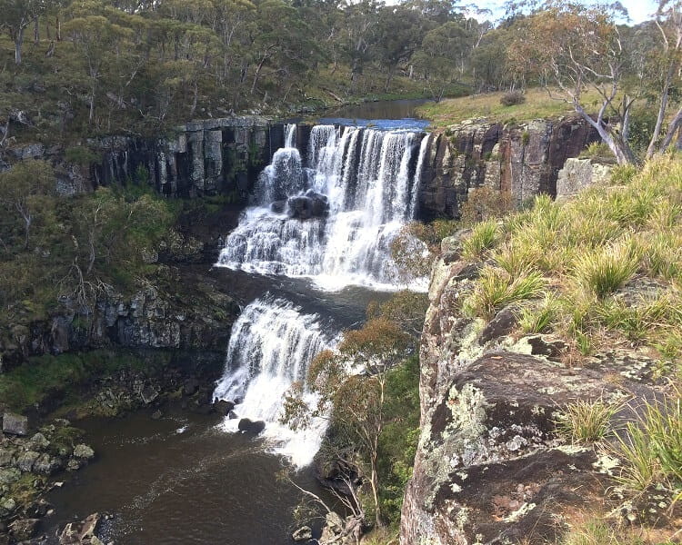 Ebor Falls on the Guy Fawkes River