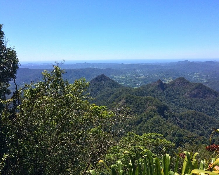 Scenic views from Mount Warning