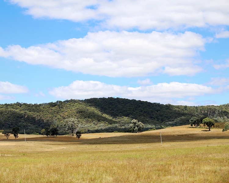 Mudgee in the Central Tablelands