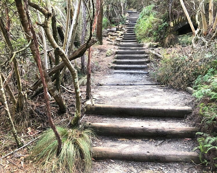 The Princes Rock Track is a well maintained path