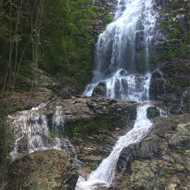 Tristana Falls in Dorrigo