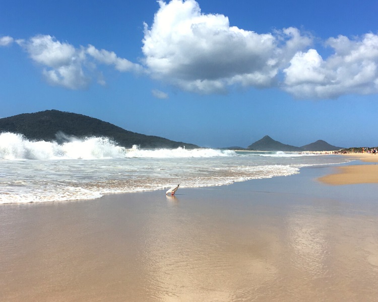 Yacaaba Headland in Hawks Nest