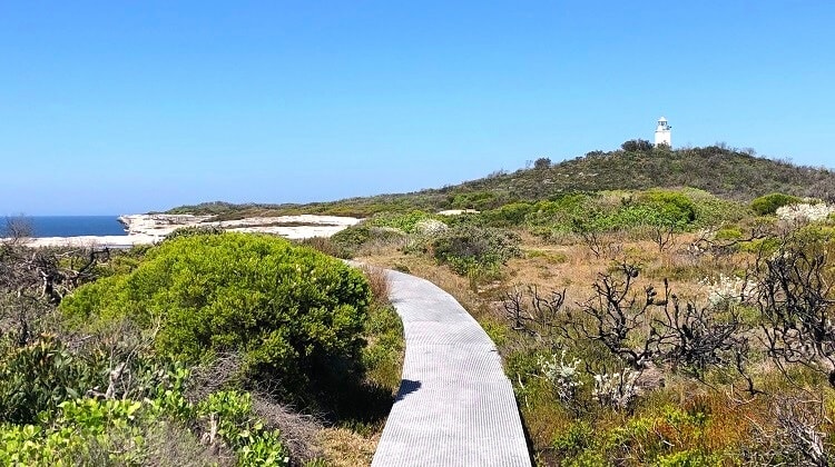 Cape Baily Track in Kamay Botany Bay National Park