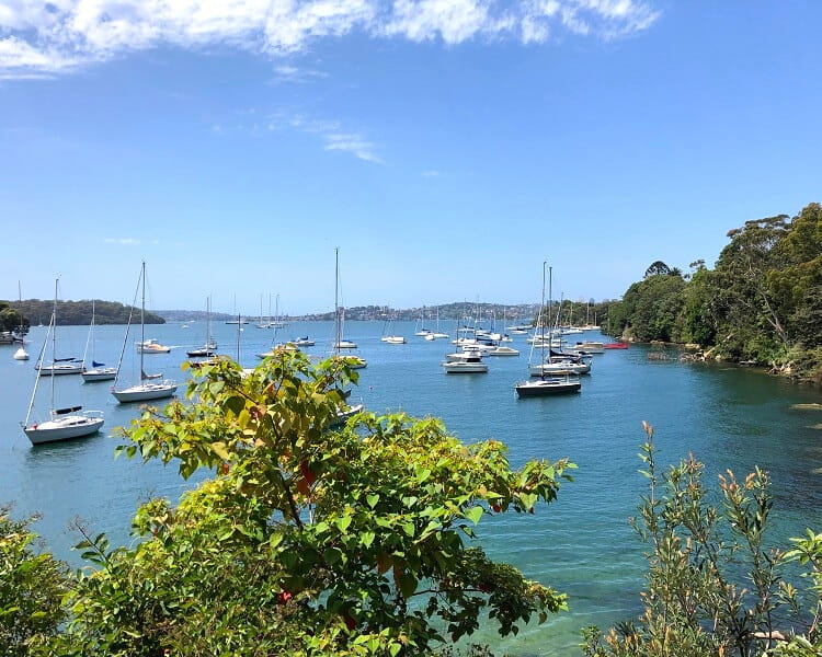 Mosman Bay on the eastern side of Cremorne Point