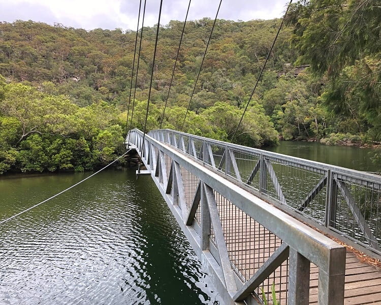 Footbridge over the Bobbin Head mangrove