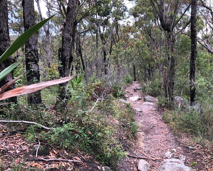 The path to Karloo Pools