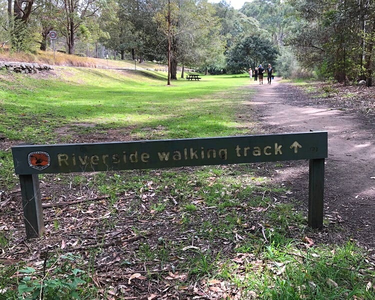 Lane Cove Riverside walking track