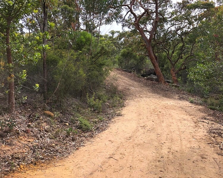 10B Cycling Trail in Dharawal National Park