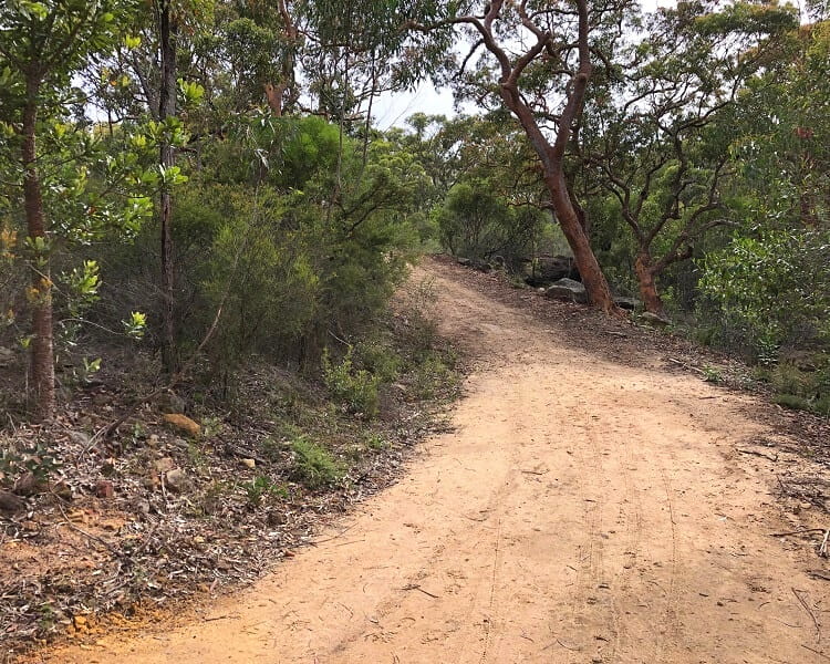 10B cycling trail in Dharawal National Park