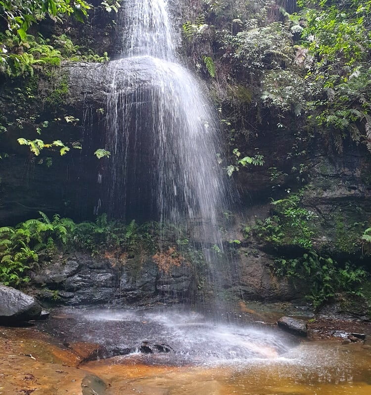 Adelina Falls in South Lawson