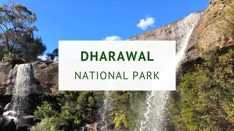 Dharawal National Park