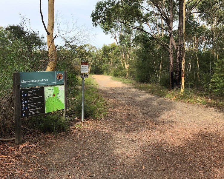 Start of the walking track to Minerva Pool