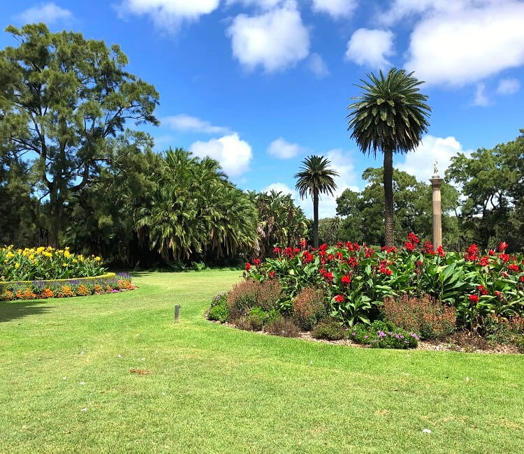 Sydney's Centennial Park
