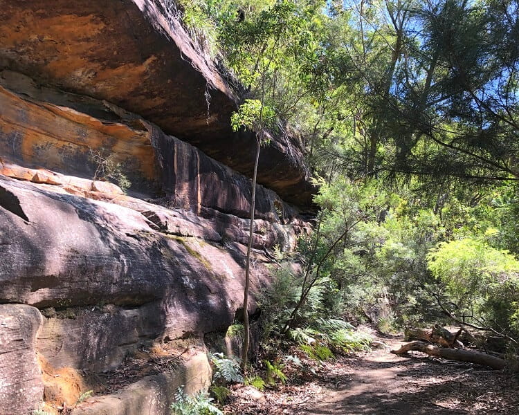 Path to Jingga Pool