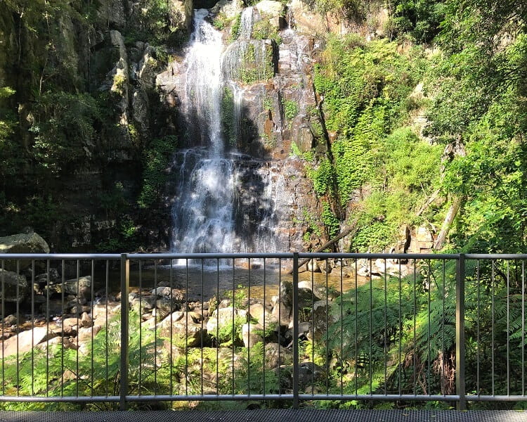 Viewing platform at Minnamurra Falls