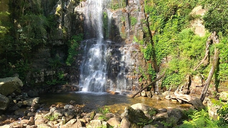 Minnamurra Falls and Rainforest Walk in Budderoo National Park