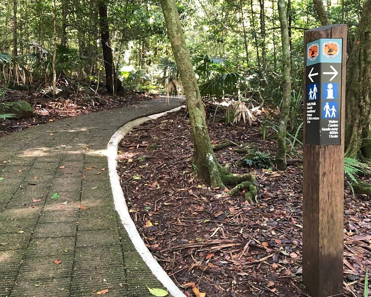 Intersection with the walk to Minnamurra Falls